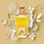 عطر کازموراتی دامابیانکا